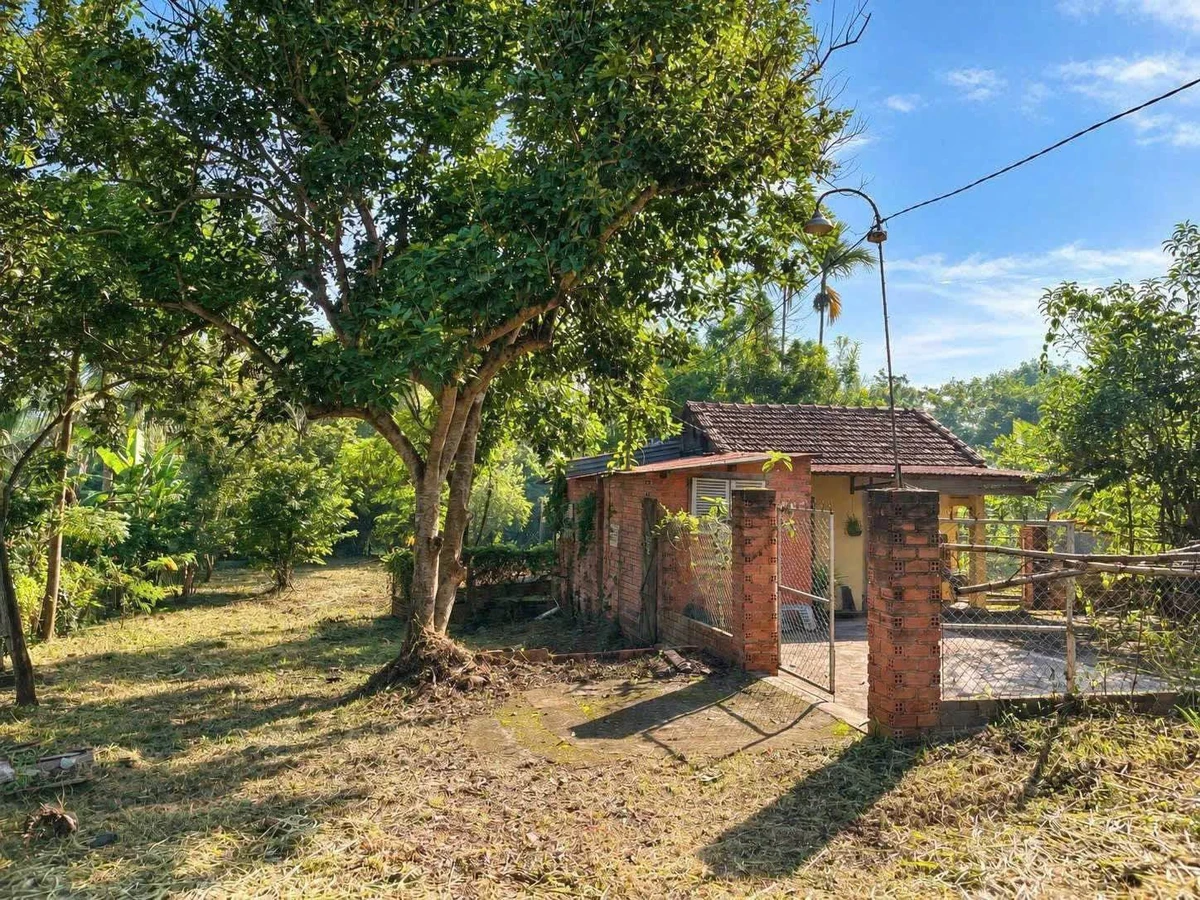 Bán vườn sinh thái Ea Kao 3.866m² giá 8 tỷ - Ảnh thu nhỏ 2