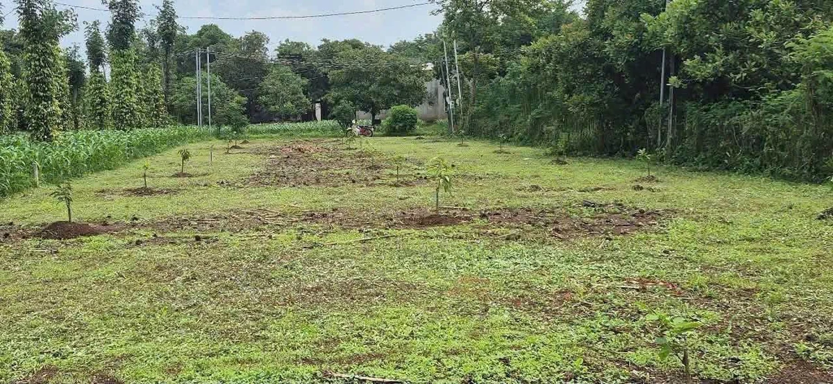 Bán gấp lô đất 1000m2 xã Sông Ray Đồng Nai 600 triệu - Ảnh thu nhỏ 2