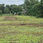 Bán gấp lô đất 1000m2 xã Sông Ray Đồng Nai 600 triệu - Ảnh thu nhỏ 2