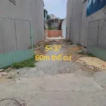 Bán đất Bình Chánh 185m2, 3.2 tỷ - Ảnh thu nhỏ 1
