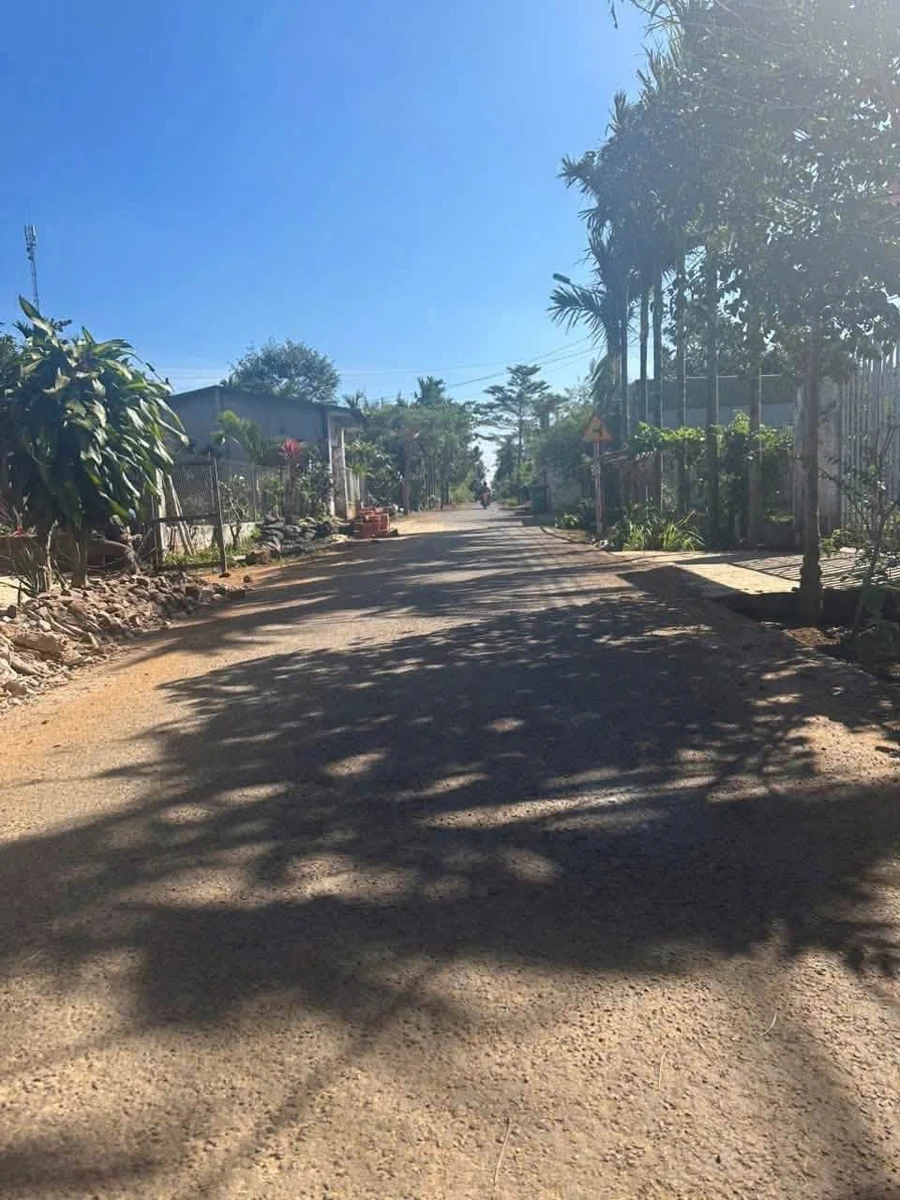 Bán lô đất 240m² đường A2 Nguyễn Xuân Nguyên, Bình Chánh - Ảnh thu nhỏ 2