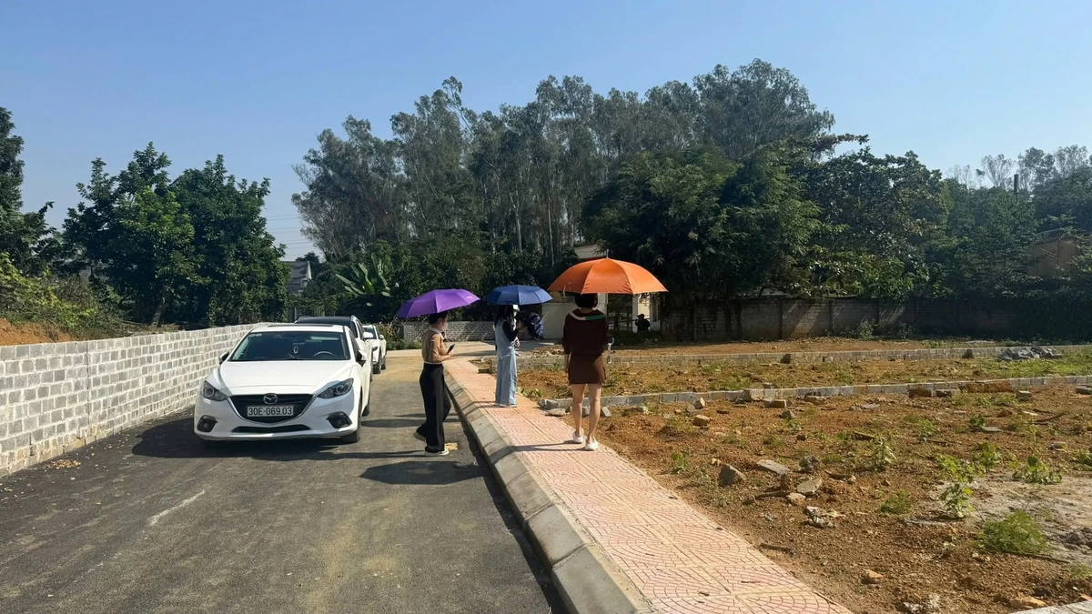 Bán đất Hòa Sơn 232m² giá 3 tỷ - Ảnh thu nhỏ 3