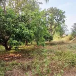 Bán đất 2400m² thổ cư 200m² Bình Thuận 1 tỷ 750 triệu - Ảnh thu nhỏ 3