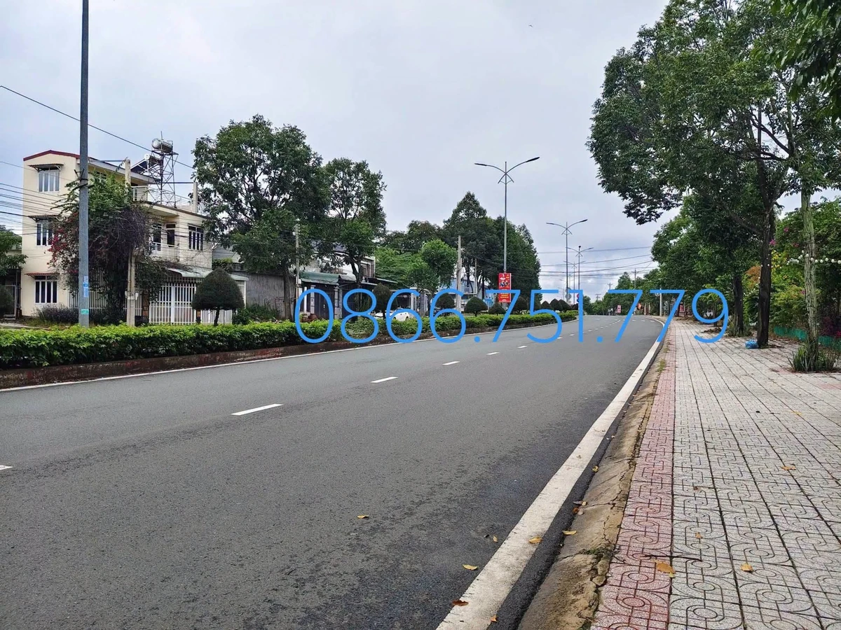 Bán đất mặt tiền Hồ Xuân Hương 132m2 - Ảnh thu nhỏ 3