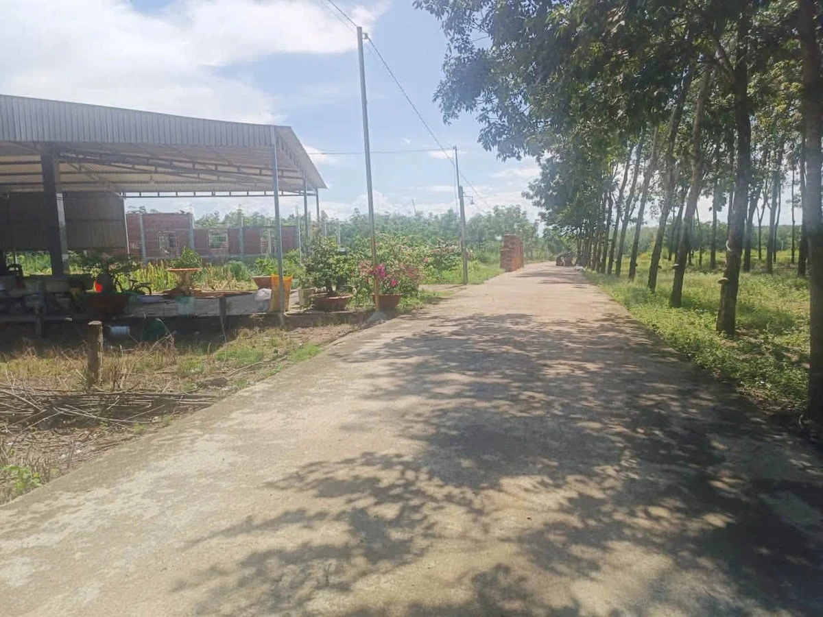 Bán đất Chơn Thành Bình Phước 205m2 420 triệu - Ảnh thu nhỏ 2