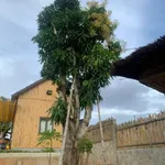 Bán đất vườn mặt tiền Ma Lâm 1602m² Lâm Đồng - Ảnh thu nhỏ 2