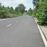 Bán lô đất 2,8 tỷ đường 12m Phú An Bình Chánh - Ảnh thu nhỏ 2