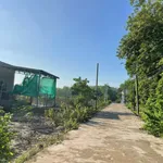 Bán đất 500m² Đường số 2 Minh Thành, Bình Dương - Ảnh thu nhỏ 4