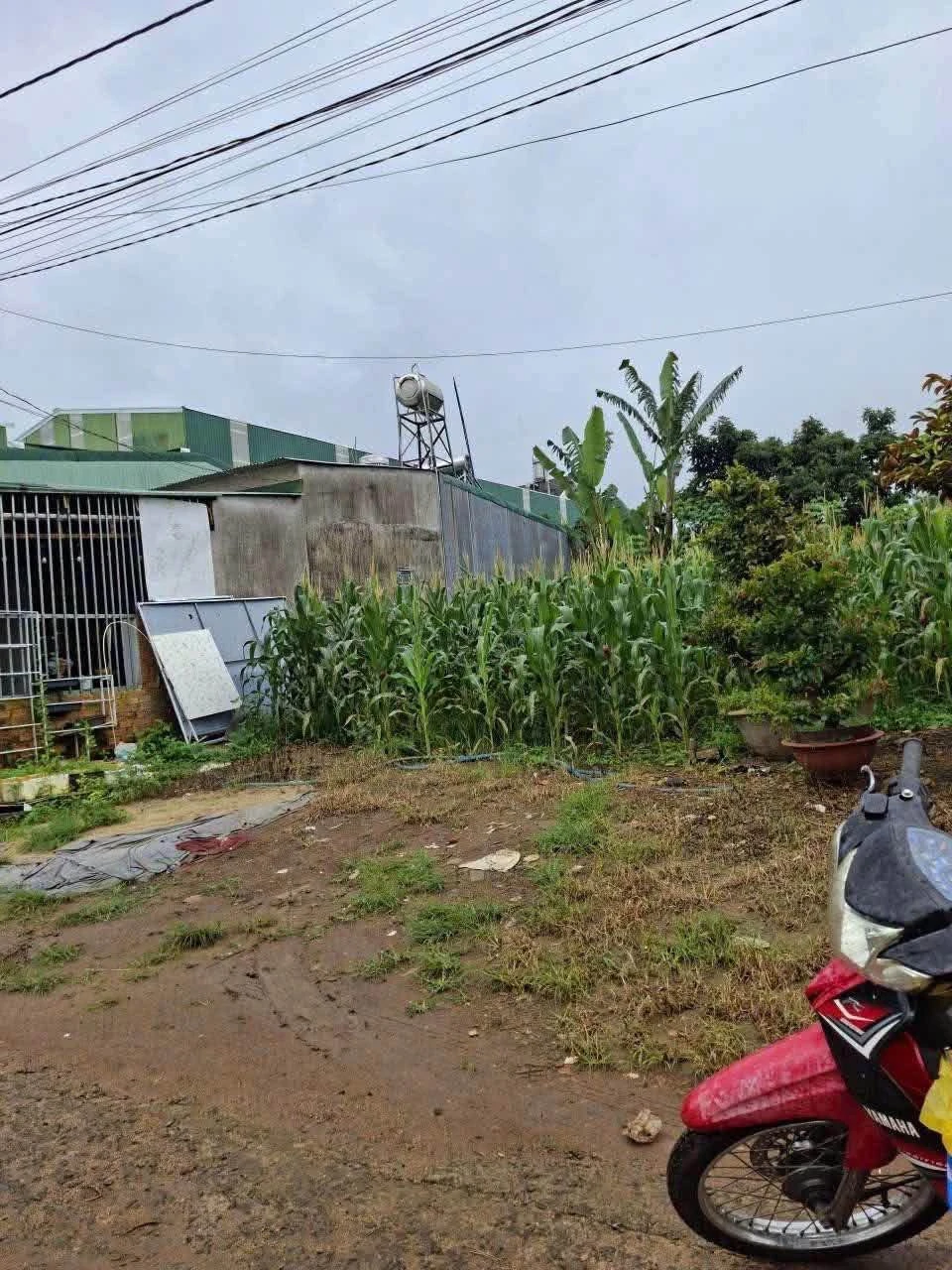 Bán đất Bảo Lâm 5x21m, 650 triệu, Bình Chánh - Ảnh 1