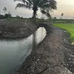 Bán đất 1300m2 đường nhựa Long Tân, chỉ 1 tỷ 50 - Ảnh thu nhỏ 3
