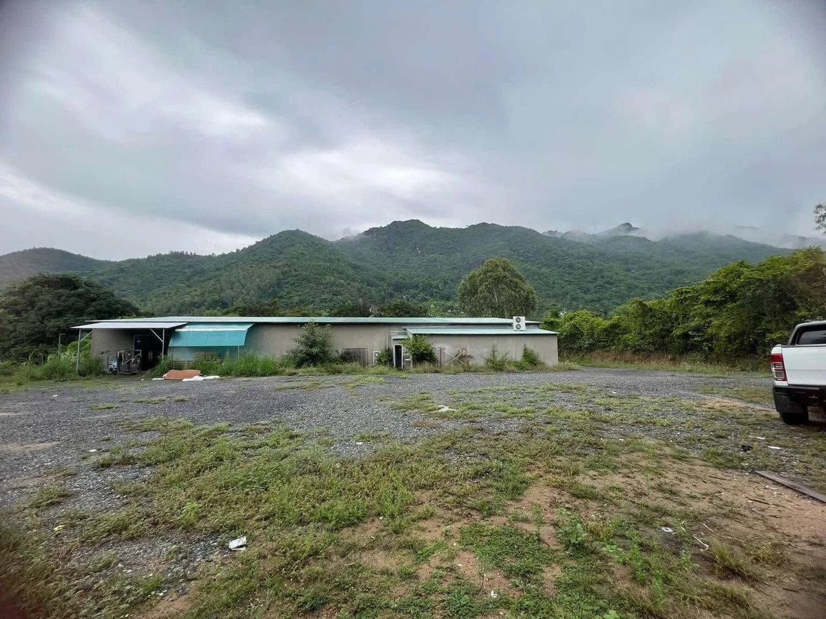 Cho thuê nhà xưởng kho bãi 3.500m2 Nguyễn Tất Thành - Ảnh thu nhỏ 2