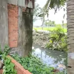 Bán đất 1000m² xã Tân Trạch Cần Đước Long An 2,8 tỷ - Ảnh thu nhỏ 3