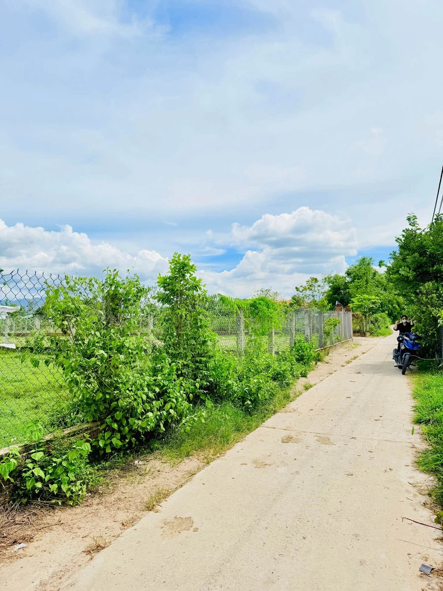 Bán đất 1000m2 tại Bình An 2, Tuy Phước Tây, Bình Dương - Ảnh thu nhỏ 2