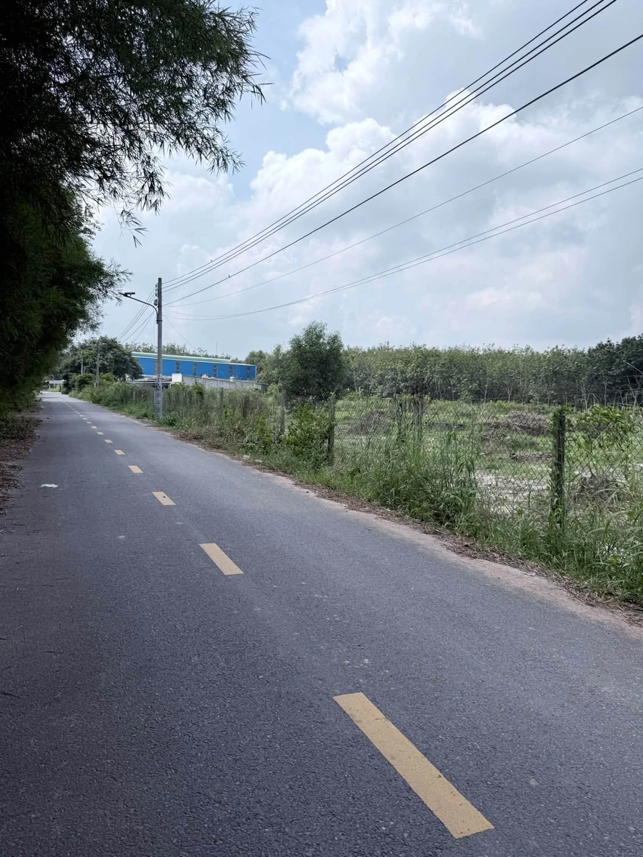 Bán đất Bình Mỹ Tân Bình 1272m² giá 4 tỷ - Ảnh thu nhỏ 3