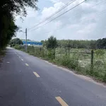 Bán đất Bình Mỹ Tân Bình 1272m² giá 4 tỷ - Ảnh thu nhỏ 3