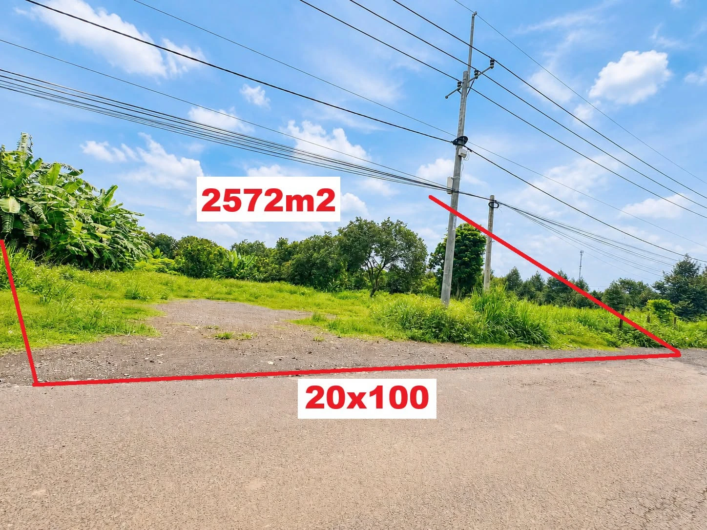 Bán đất Dầu Giây 2.572m² giá 4,5 tỷ - Ảnh 1