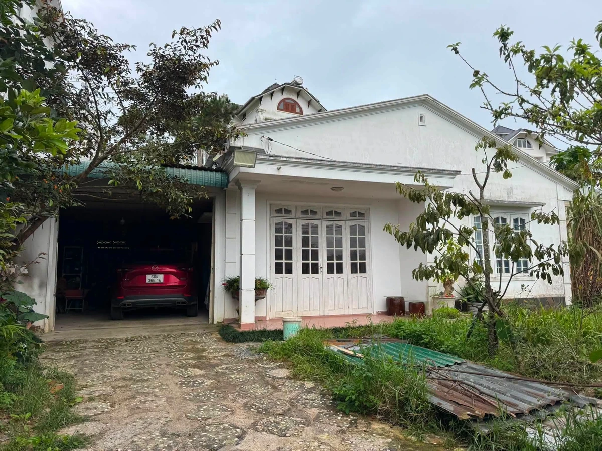 Bán đất 465m² tặng nhà 3PN Đà Lạt - Giá 17 tỷ - Ảnh thu nhỏ 3