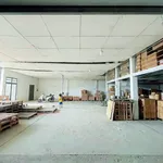 Cho thuê kho xưởng 600m² gần Tân Đông Hiệp, Dĩ An - Ảnh thu nhỏ 4