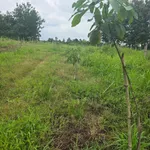 Bán đất 1.9ha, view suối tại Thiện Hưng, Đồng Nai - Ảnh thu nhỏ 5