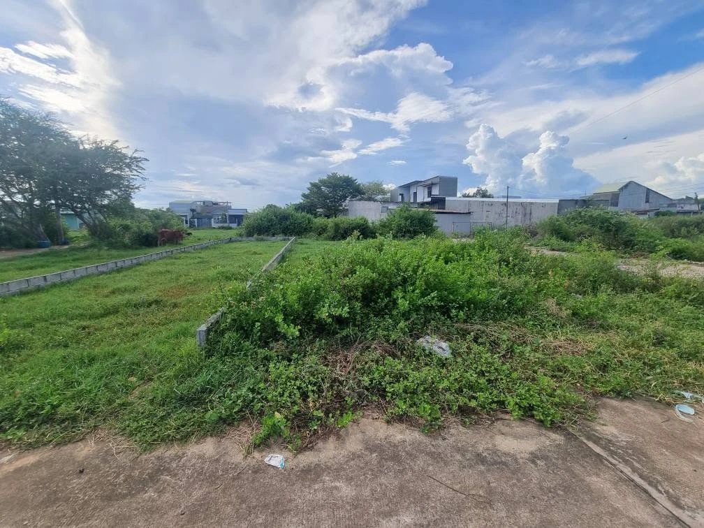 Bán đất thổ cư 100m² đường Phạm Thị Ngư, Thủ Đức - Ảnh 1
