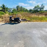 Bán đất 60m² giá 590 triệu tại Phước Thạnh, Tây Ninh - Ảnh thu nhỏ 2