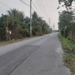 Bán đất 1200m2 mặt tiền Phạm Văn Ngô Tân Khánh - Ảnh thu nhỏ 1