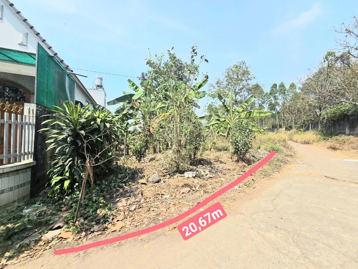 Bán đất 976m² Long Hưng, Đồng Nai, 10,5 tỷ - Ảnh thu nhỏ 4