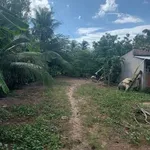 Bán đất mặt tiền lộ nhựa 500m² Bến Tre - Ảnh thu nhỏ 2