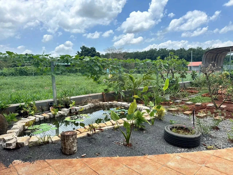 Bán nhà vườn 500m² Xã Long Phước, TP. Bà Rịa, 1 tỷ 790 triệu