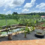 Bán nhà vườn 500m² Xã Long Phước, TP. Bà Rịa, 1 tỷ 790 triệu - Ảnh thu nhỏ 1