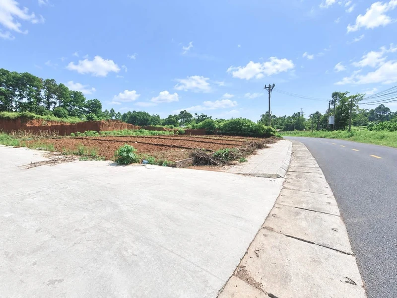 Bán nhà 106m², mặt tiền 6.5m Lâm Thao Bình Chánh 5.5 tỷ