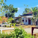Bán nhà vườn 428m² đất ODT 2 mặt tiền tại Thị trấn Đạ Tẻh, giá 999 triệu - Ảnh thu nhỏ 2