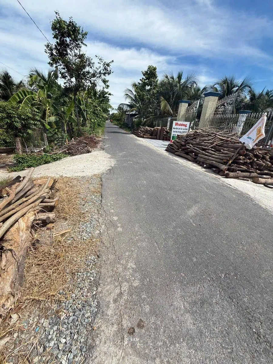 Bán đất Châu Thành Long An 190m² giá 350 triệu - Ảnh thu nhỏ 2