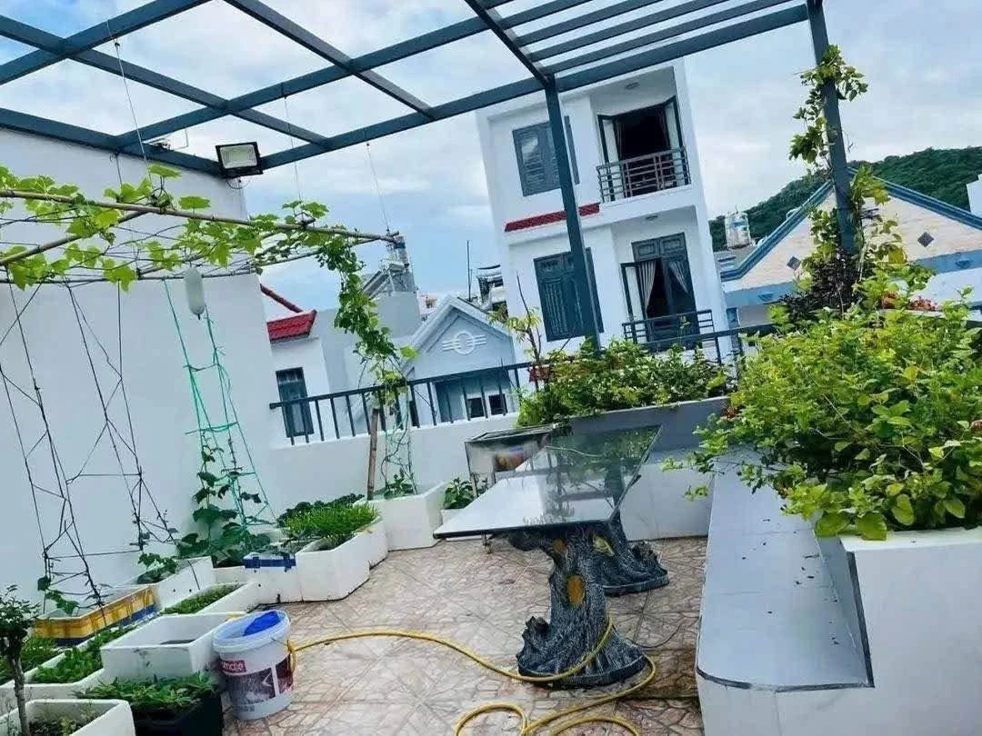 Bán nhà 3 phòng ngủ 80m2 đường Phan Chu Trinh Vũng Tàu - Ảnh thu nhỏ 4