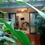 Cho thuê nhà 1 phòng ngủ 60m2 Lê Lợi 5 triệu/tháng - Ảnh thu nhỏ 1