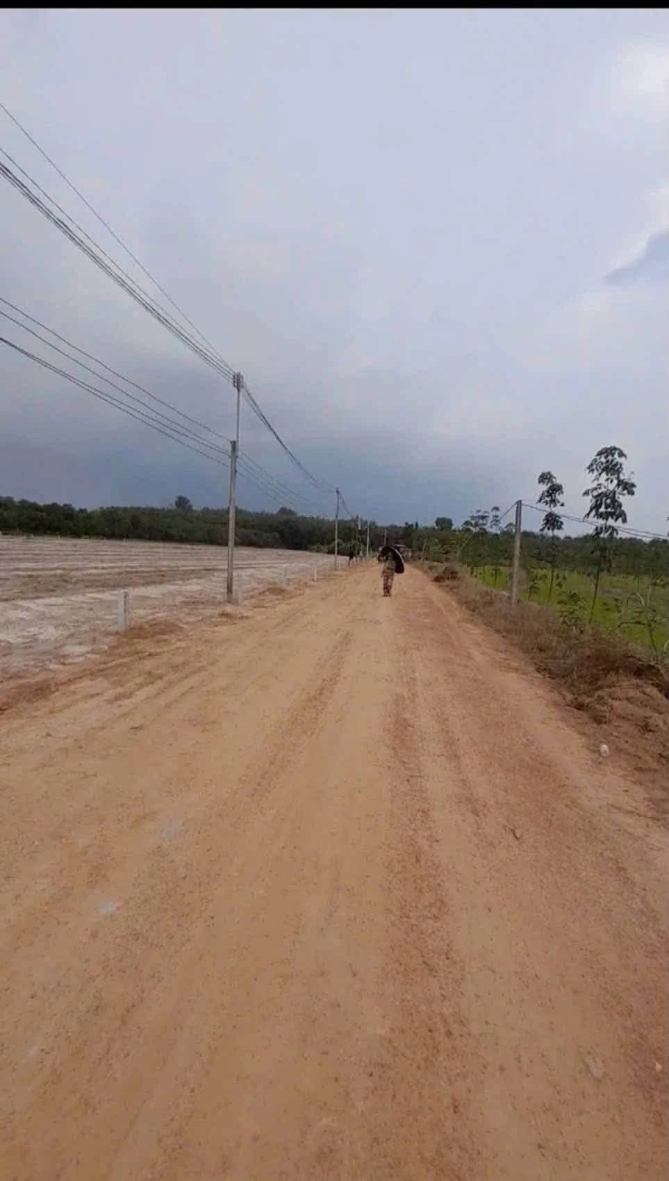 Bán nền đất 200m² giá 129 triệu Tân Bình Bình Chánh - Ảnh 1