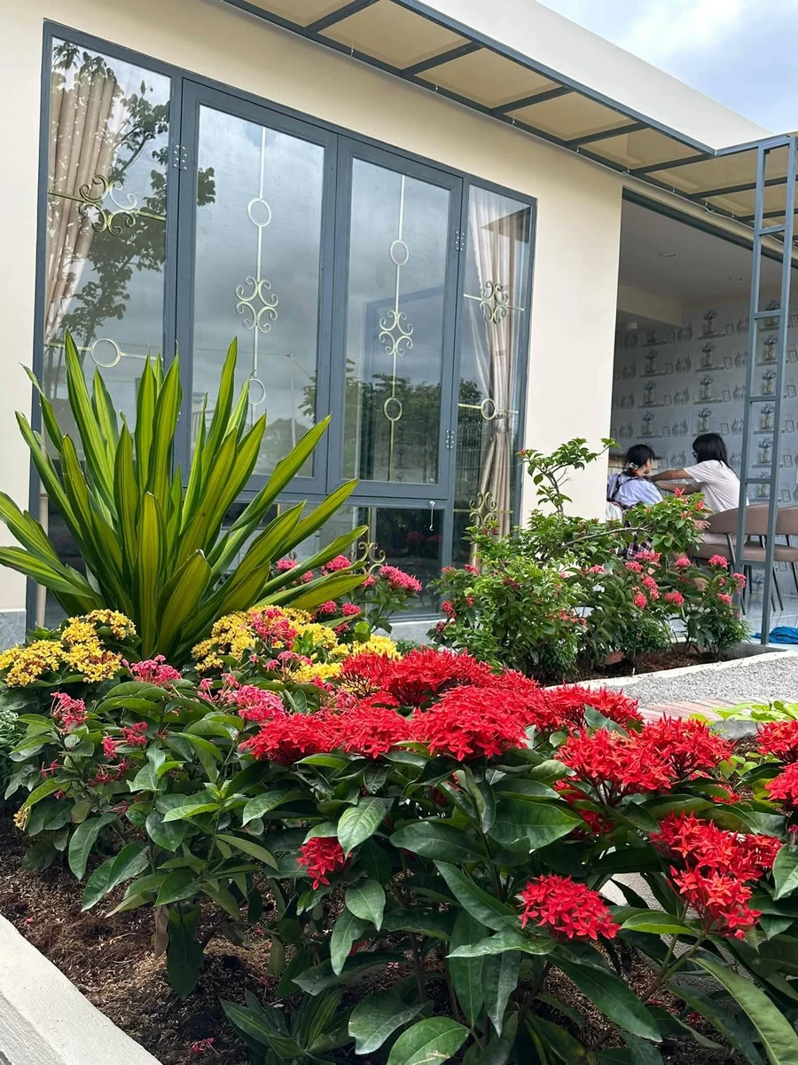 Bán nhà vườn 450m² 2 PN Tây Ninh 2 tỷ 290 triệu - Ảnh thu nhỏ 2