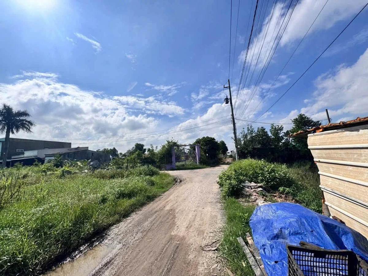 Bán đất Đức Hòa Đông 185 m² 1 tỷ 250 - Ảnh thu nhỏ 3