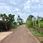 Bán đất mặt tiền Mạc Đăng Dung 150m² Buôn Hồ 850 triệu - Ảnh thu nhỏ 2