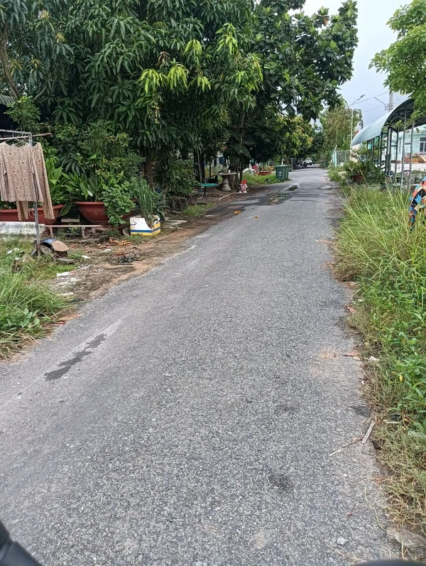 Bán 100m² đất thổ cư Tân Tây Thạnh, Long An