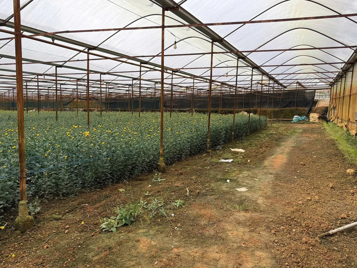 Bán đất hơn 4 sào 4207,4m² hai mặt tiền gần Hồ Than Thở, Đà Lạt giá 26,999 tỷ - Ảnh thu nhỏ 2