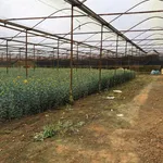 Bán đất hơn 4 sào 4207,4m² hai mặt tiền gần Hồ Than Thở, Đà Lạt giá 26,999 tỷ - Ảnh thu nhỏ 2