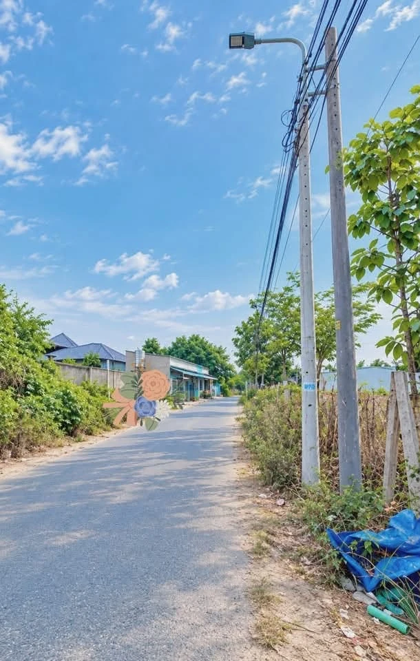 Bán đất 100m² Phú An, Bình Chánh 1 tỷ 550 - Ảnh thu nhỏ 3