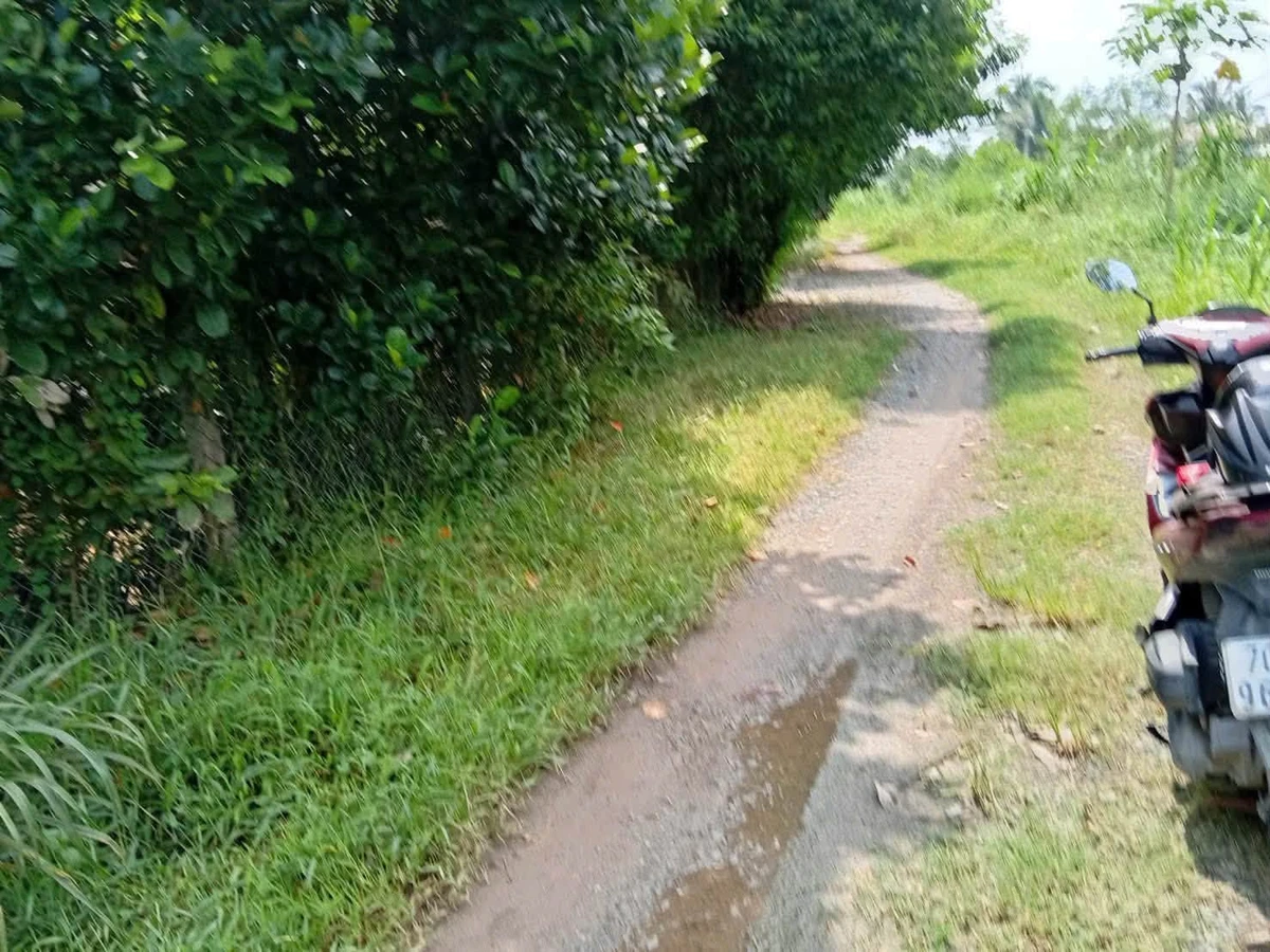 Bán đất hẻm 5x60m, mặt tiền đường quy hoạch, Hóc Môn - Ảnh thu nhỏ 2