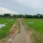 Bán 1.045,6 m² đất lúa ấp 1, Phước Đông, Cần Đước giá 600 triệu - Ảnh thu nhỏ 4