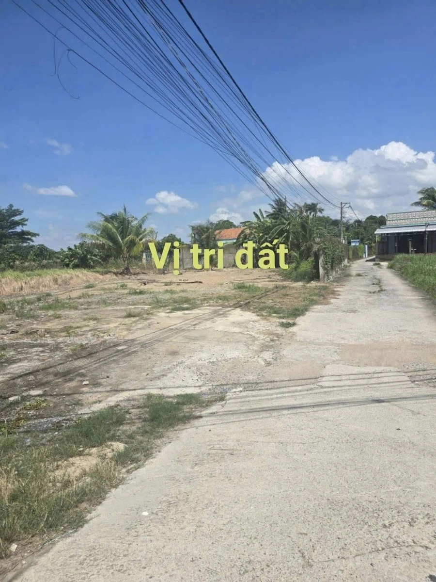 Bán đất thổ cư 200m2 ấp Chánh, Long Hiệp, Bến Lức, Long An giá 2,4 tỷ - Ảnh thu nhỏ 3