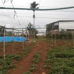 Bán 4.5 sào đất vườn Đức Trọng, Lâm Đồng, 90m mặt tiền, 5 tỷ - Ảnh thu nhỏ 1