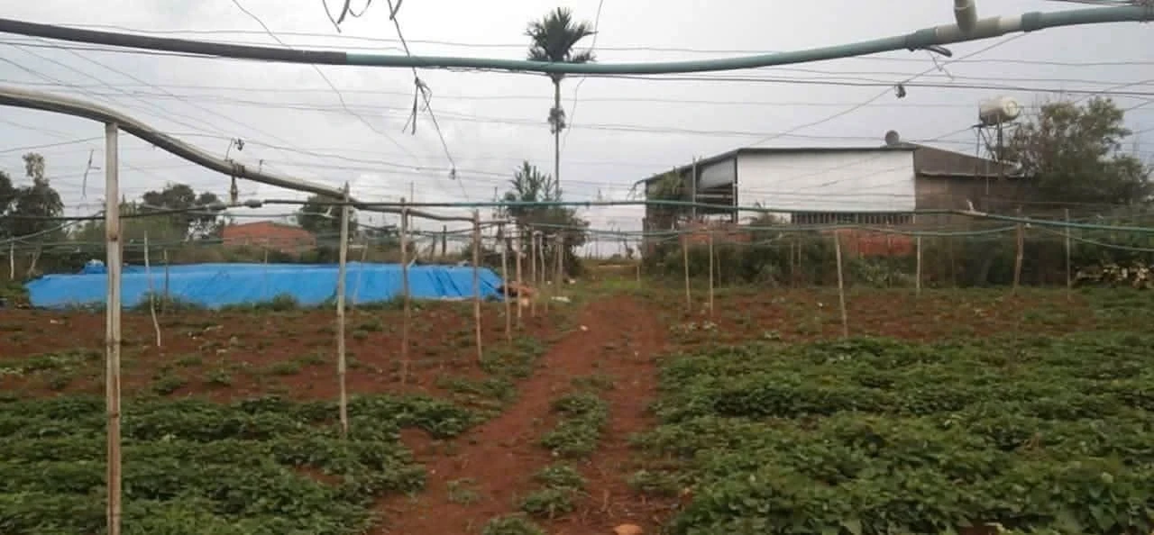 Bán 4.5 sào đất vườn Đức Trọng, Lâm Đồng, 90m mặt tiền, 5 tỷ - Ảnh 1