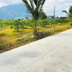 Bán đất nền xã Phan 225m² giá 195 triệu - Ảnh thu nhỏ 1