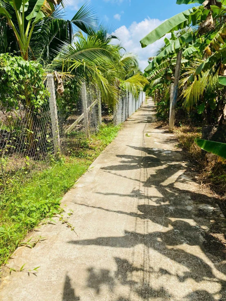 Bán đất vườn 1.500m² view sông Ba Lai Phú Túc 1,2 tỷ - Ảnh thu nhỏ 2